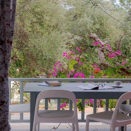 Mihaila Bungalows Spartia  Zewnętrze zdjęcie